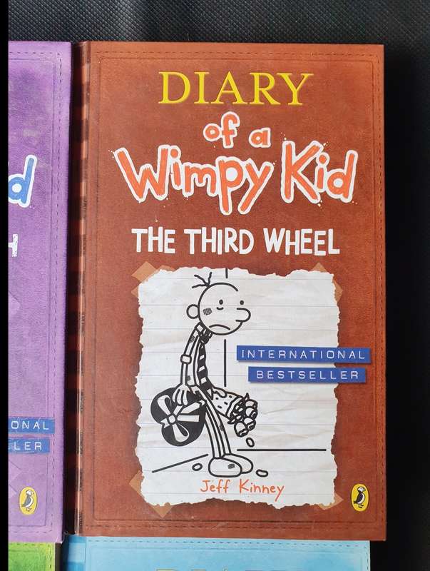 Diary of a Wimpy Kid Book Collection 4x Books