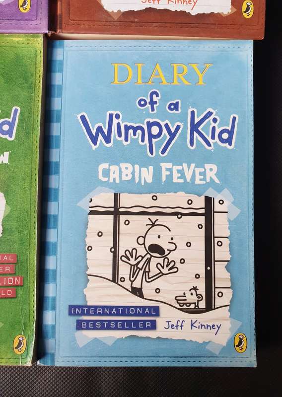 Diary of a Wimpy Kid Book Collection 4x Books