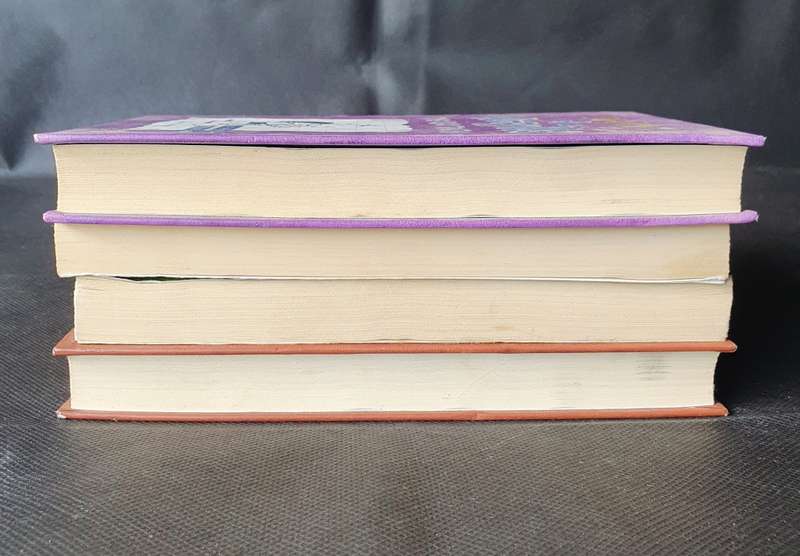 Diary of a Wimpy Kid Book Collection 4x Books