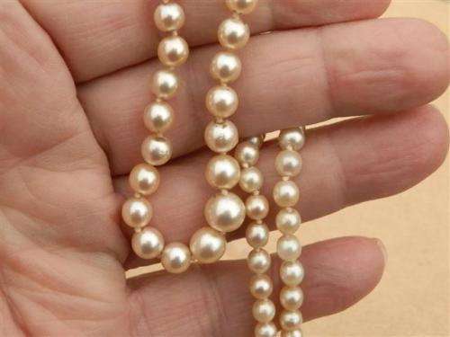 Fabulous real sea pearl necklace with a sterling silver clasp