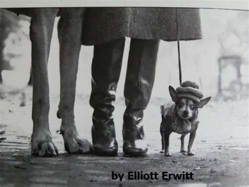 First Edition `Master Photographers`, edited by Pat Booth, Published in 1983