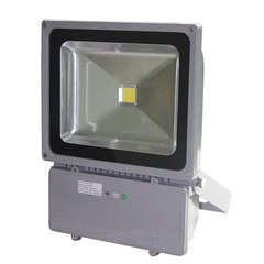 100W Flood Light