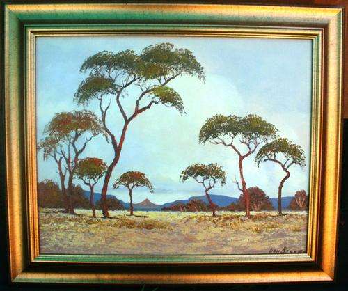 THORN TREES NORTHERN TRANSVAAL BY DON BENZIEN