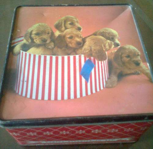 VERY OLD PYOTTS BISCUIT TIN