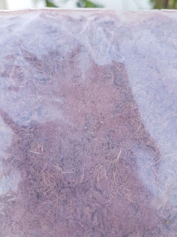 250g Mimosa Hostilis Root Bark [Free shipping]