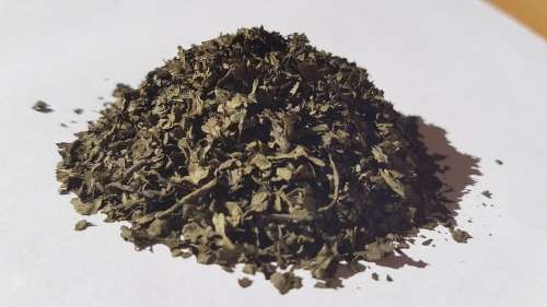 1g Slavia Divinorum 20x extract