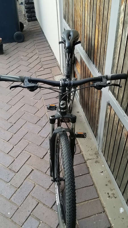 All Sex Black Mountain Bike - Giant Revel