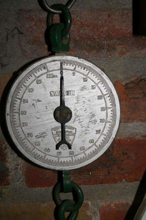 Salter scale weighs in pounds