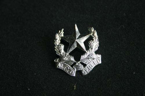 Regiment Botha badge. All pins intact