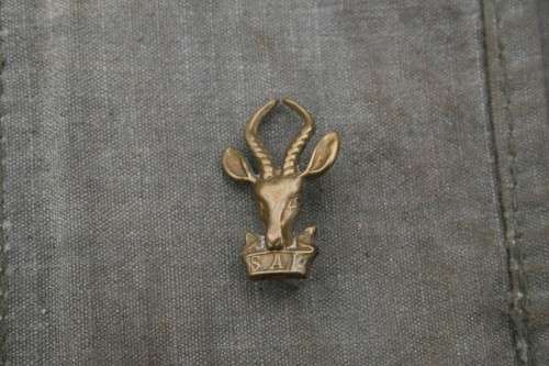 Small bok kop