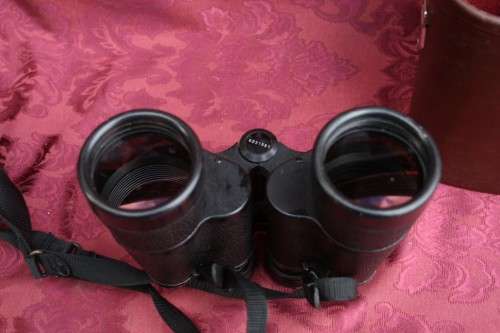 Carl Zeiss Jenna  10 x 50 W binoculars