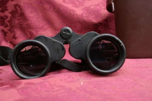 Carl Zeiss Jenna  10 x 50 W binoculars