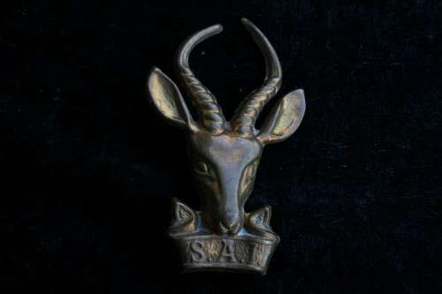 Large Bokkop