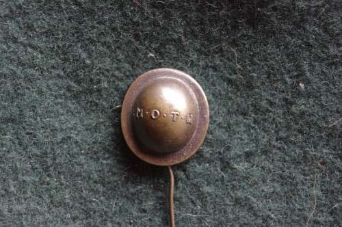 MOTH badge