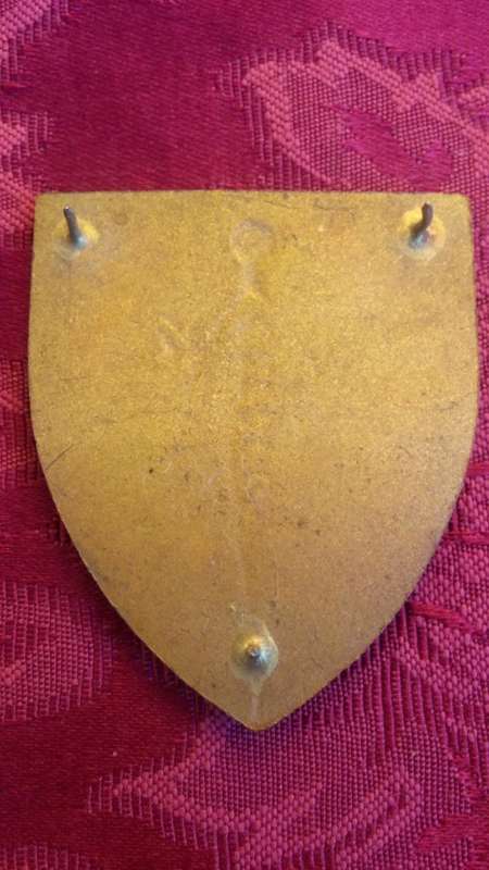 Transkei Defence Force Shoulder Flash
