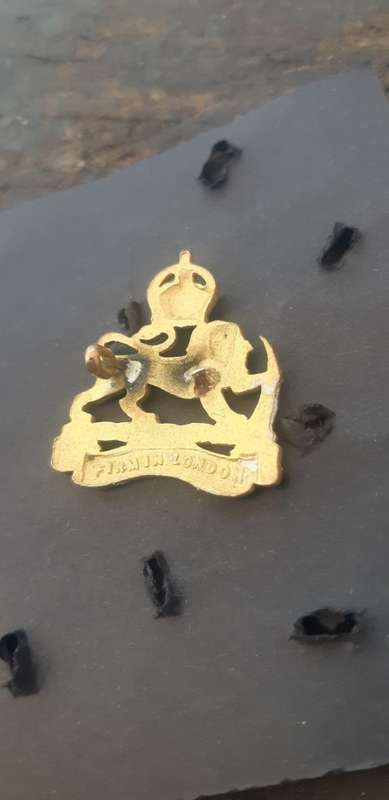 Rhodesia badge