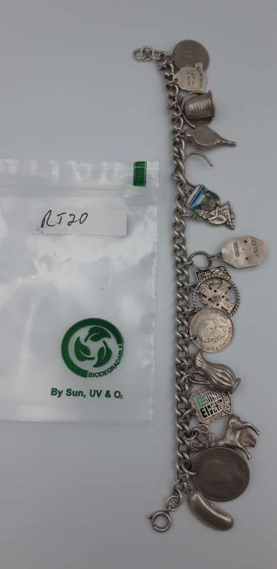 Charm Bracelet 92.5 silver with  17 charms