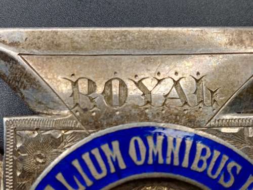 Royal antediluvian buffaloes 87.3 grams silver