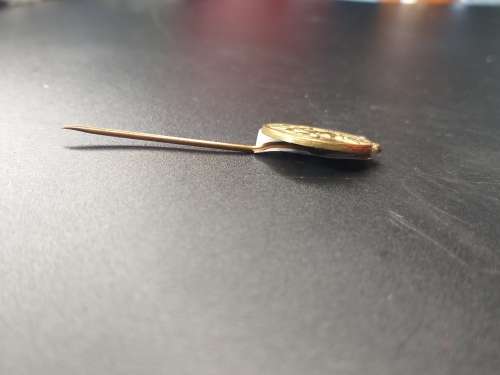 Springbok Olympic lapel pin