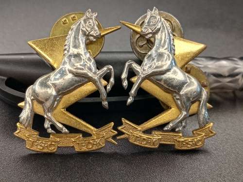 TDK collar badge x2 set