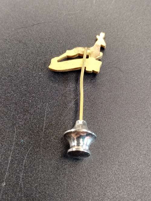 SA pin