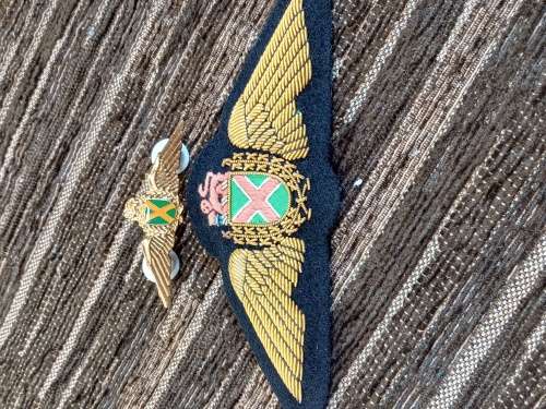 SA airforce Pilot wings gold