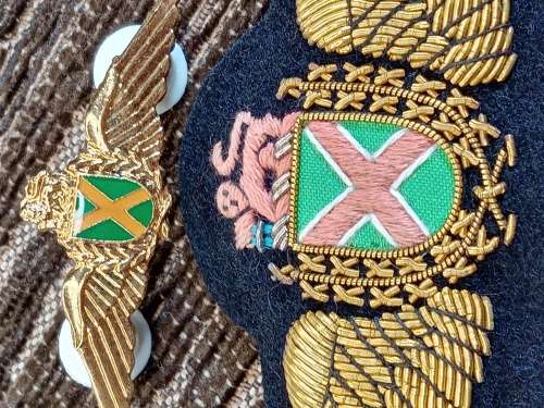 SA airforce Pilot wings gold