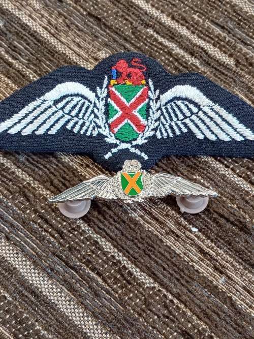 SA airforce Pilot wing silver