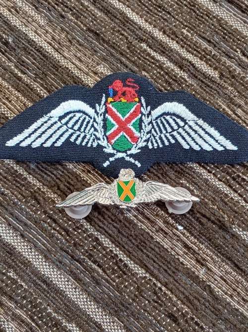 SA airforce Pilot wing silver