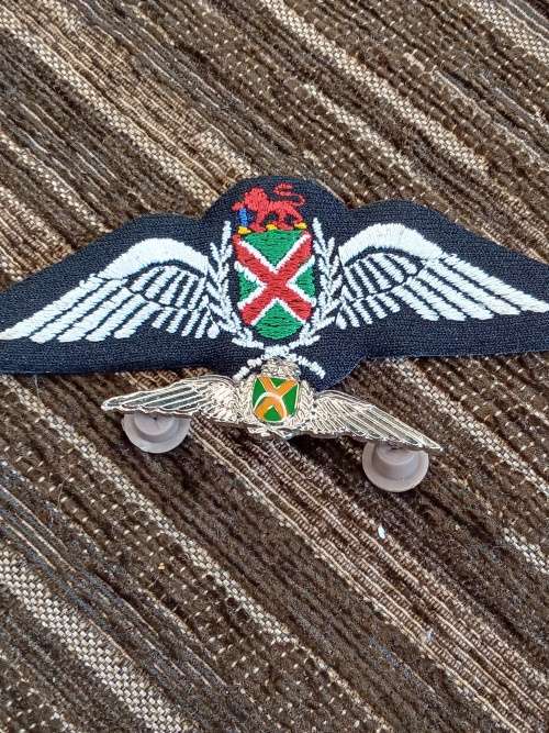 SA airforce Pilot wing silver