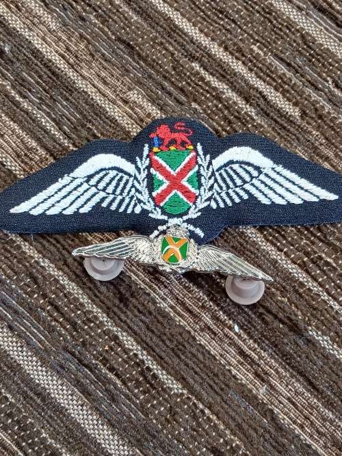 SA airforce Pilot wing silver