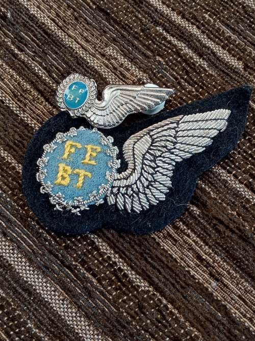 FEBT silver halfwing