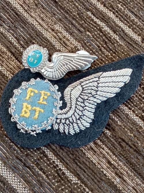 FEBT silver halfwing
