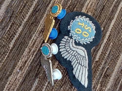 SOTO silver halfwing