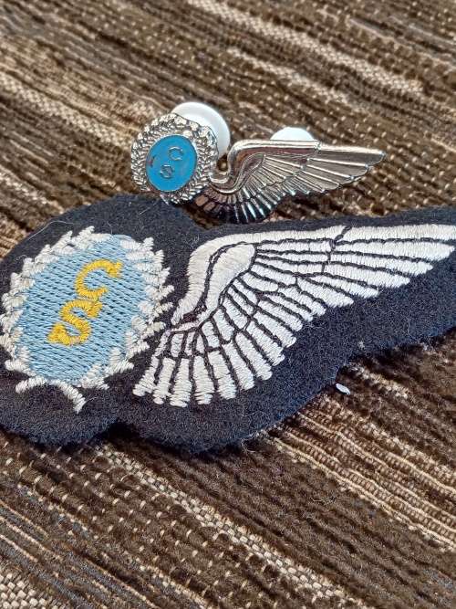 CS silver halfwing