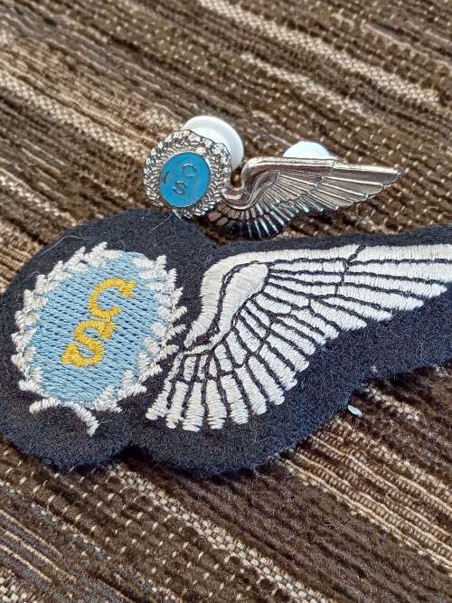 CS silver halfwing