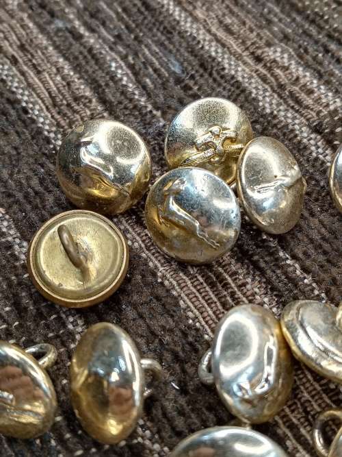 Collection of small buttons