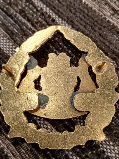 Metal rank badges