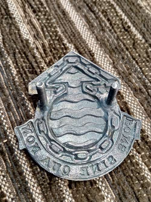 Cap badge