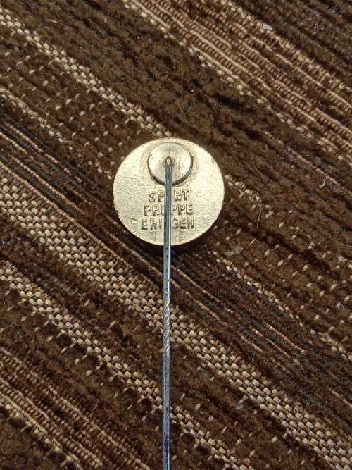 Pin