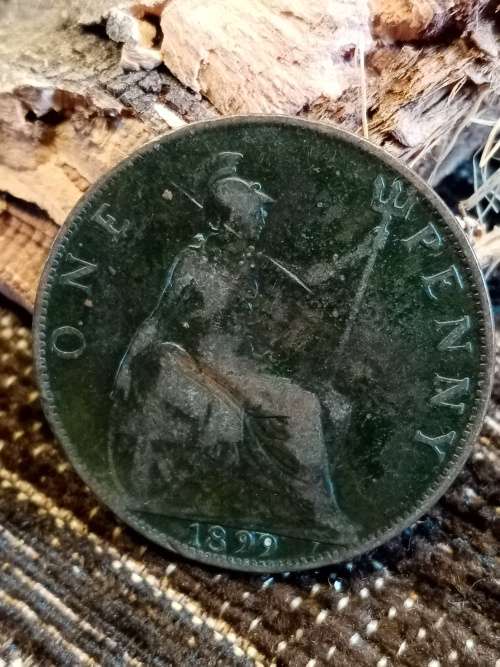 One penny 1899