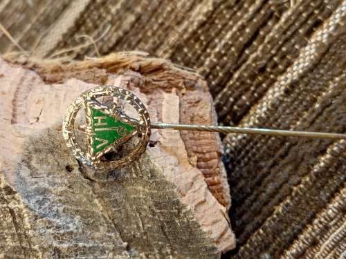 VdH pin