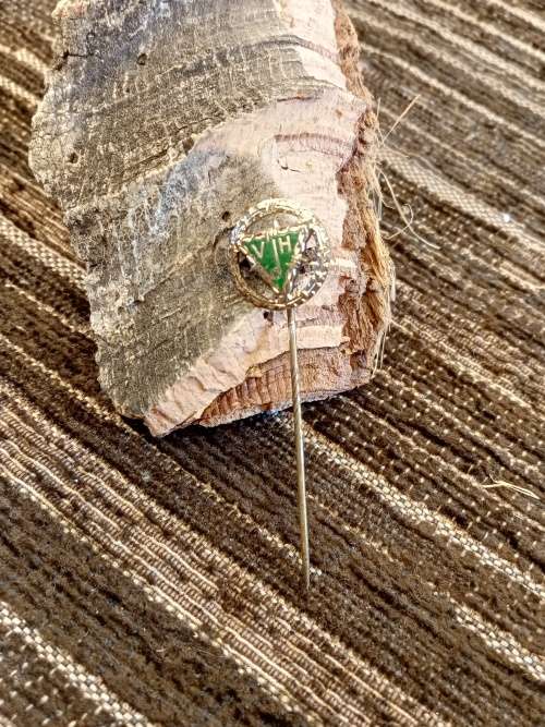 VdH pin