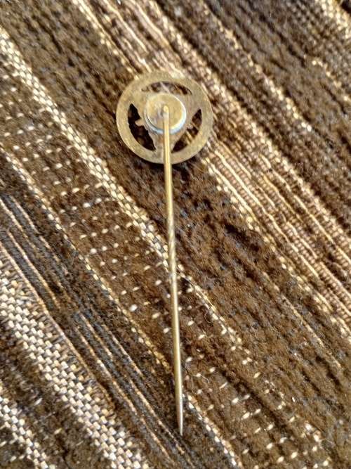 VdH pin