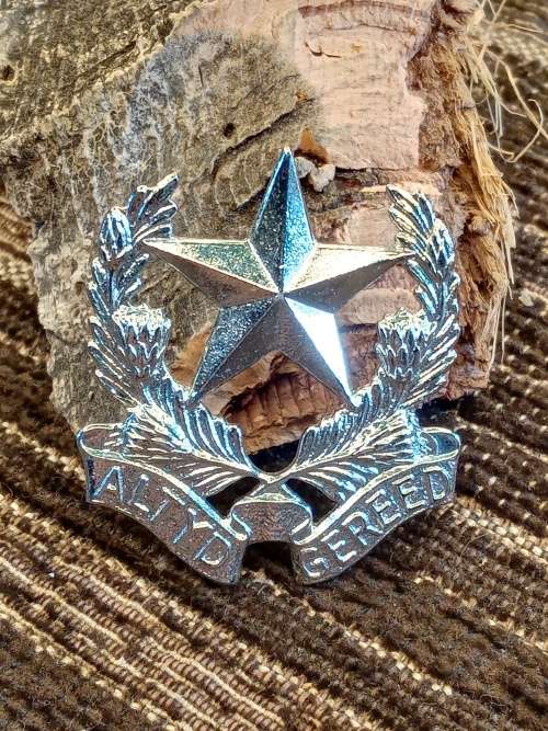 Altyd Gereed badge