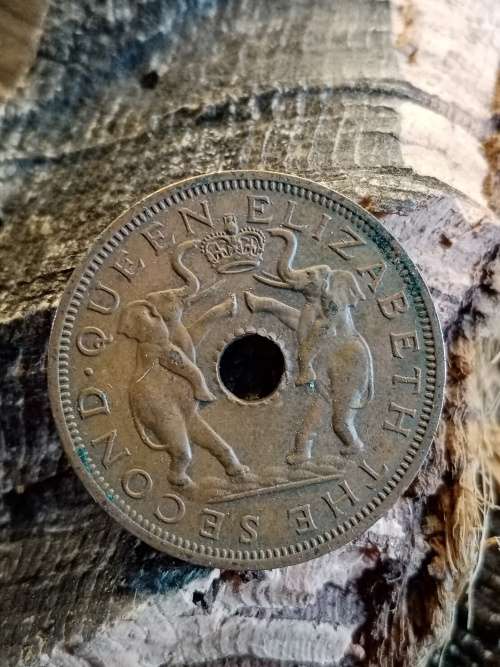 Rhodesia and Nyasaland One penny 1963