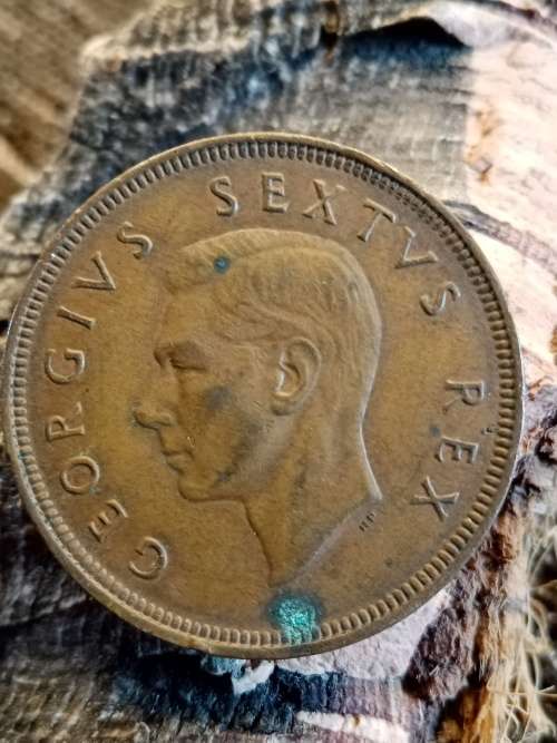 South Africa 1950 1 penny