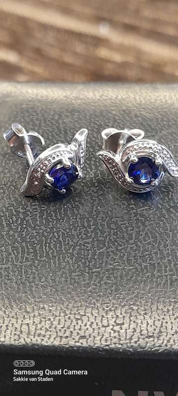 Pair of earrings