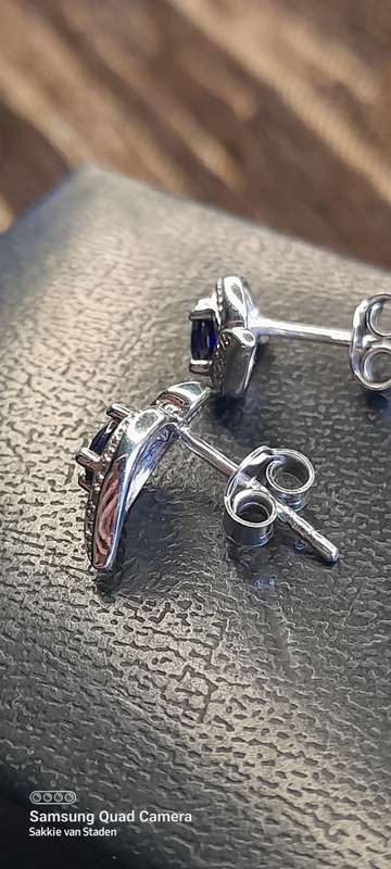 Pair of earrings