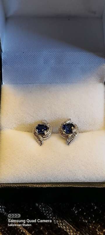 Pair of earrings